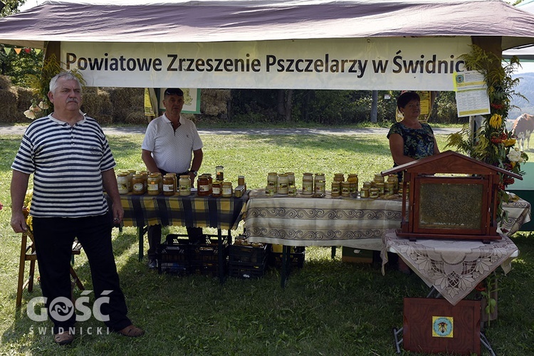 Dożynki gminy Marcinowice w Szczepanowie