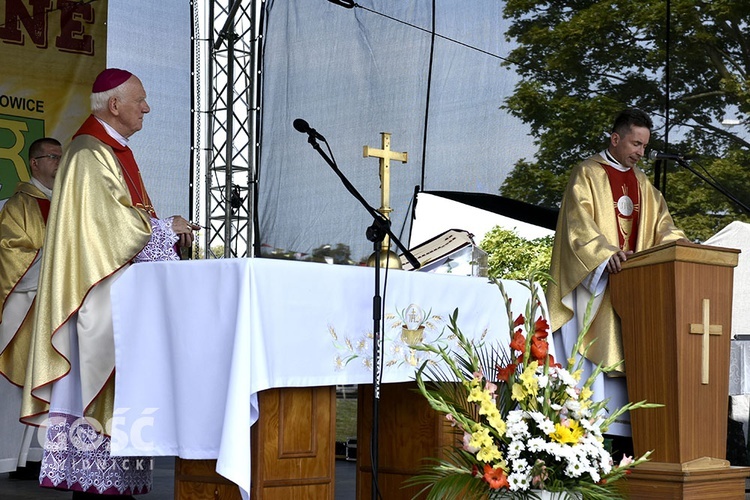 Dożynki gminy Marcinowice w Szczepanowie