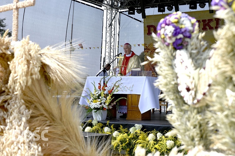 Dożynki gminy Marcinowice w Szczepanowie