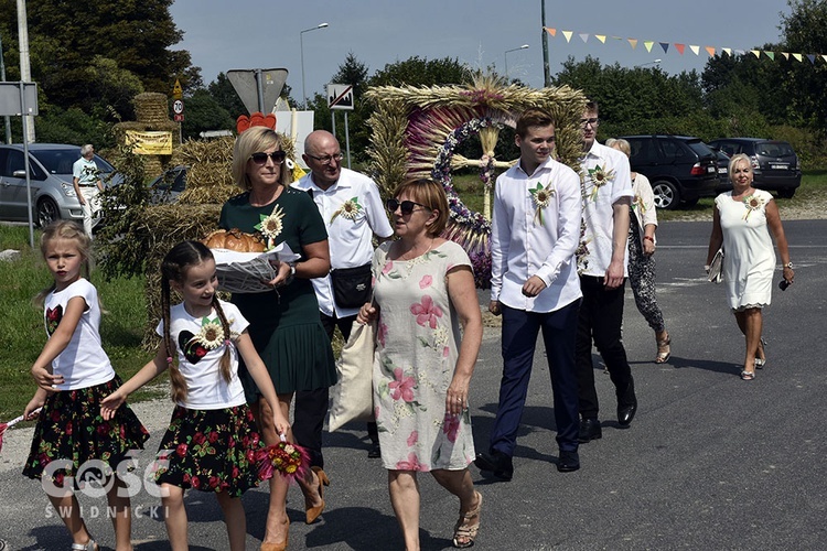 Dożynki gminy Marcinowice w Szczepanowie