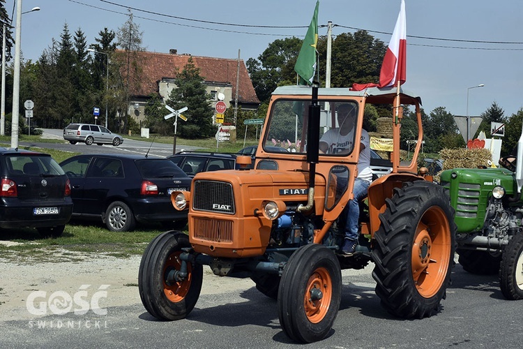 Dożynki gminy Marcinowice w Szczepanowie