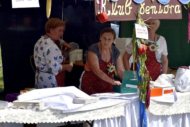 Dożynki gminy Marcinowice w Szczepanowie