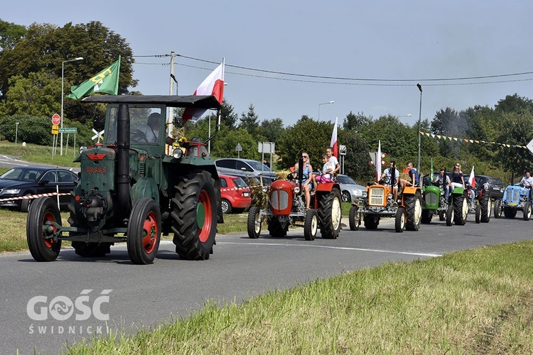 Dożynki gminy Marcinowice w Szczepanowie