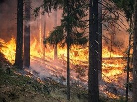 Biskupi zaniepokojeni pożarami w Amazonii