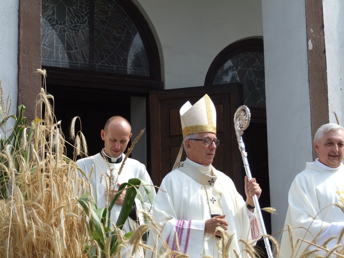 XX Dożynki Województwa Śląskiego