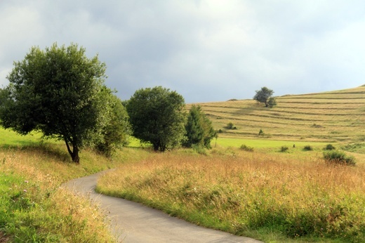 Wędrówka po Spiszu i w Tatrach