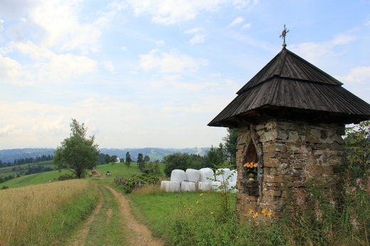 Wędrówka po Spiszu i w Tatrach