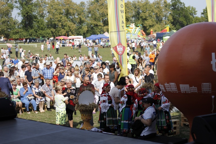 Walewice. Dożynki województwa łódzkiego