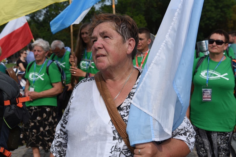 Grupa 20 - wejście
