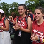 Grupa 17 - wejście