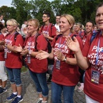 Grupa 17 - wejście