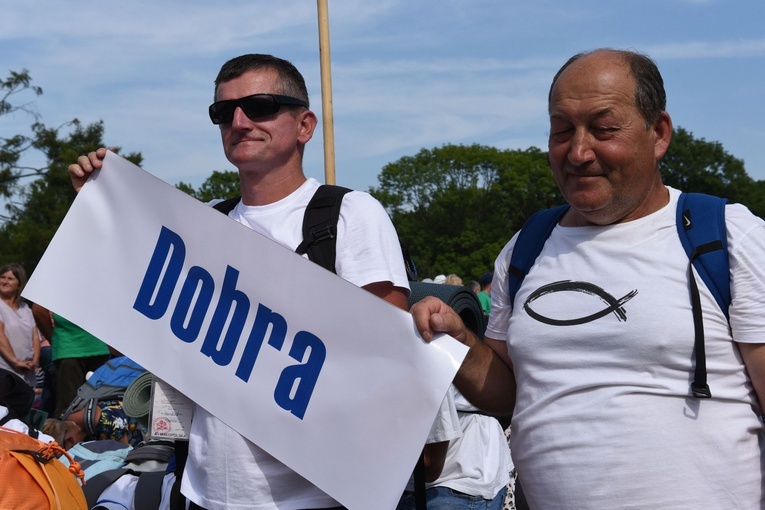 Grupa 15 - wejście