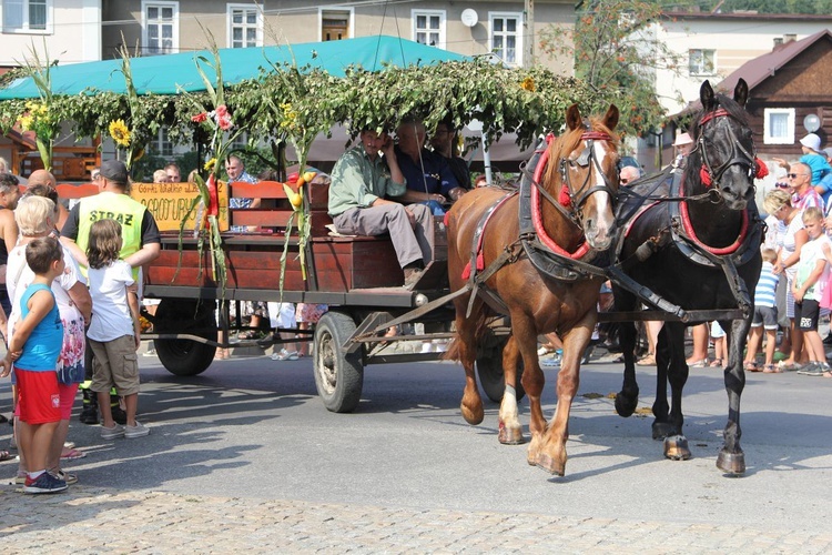 30. Jubileuszowe Dożynki Ekumeniczne w Brennej 2019 - korowód