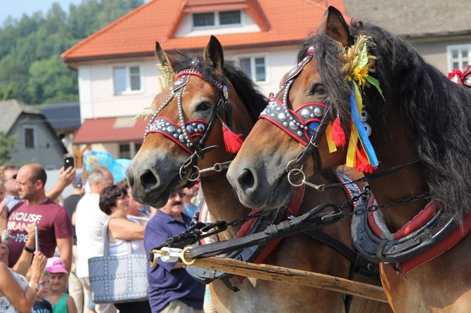 30. Jubileuszowe Dożynki Ekumeniczne w Brennej 2019 - korowód