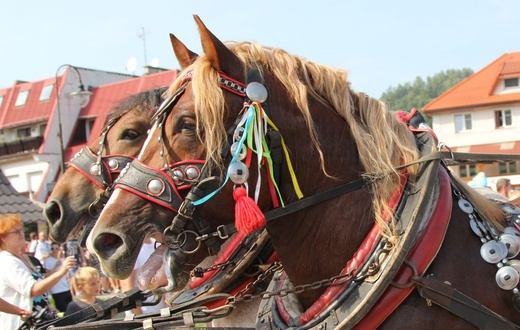 30. Jubileuszowe Dożynki Ekumeniczne w Brennej 2019 - korowód