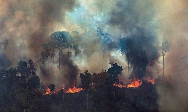 Władze Brazylii przyjmą zagraniczną pomoc w walce z pożarami Amazonii