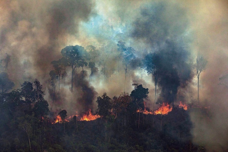 Władze Brazylii przyjmą zagraniczną pomoc w walce z pożarami Amazonii