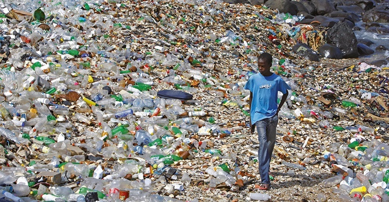 Plastik nie ulega biodegradacji. Dzisiaj w każdym ekosystemie, w wodzie, w powietrzu i w organizmach żywych znajdujemy mikro- i nanokawałki tworzyw sztucznych.