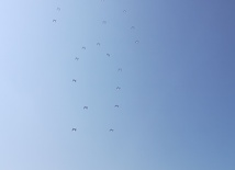 Katowice. Taniec dronów na niebie i dyskusja o lokalnym systemie kontroli ruchu dronowego