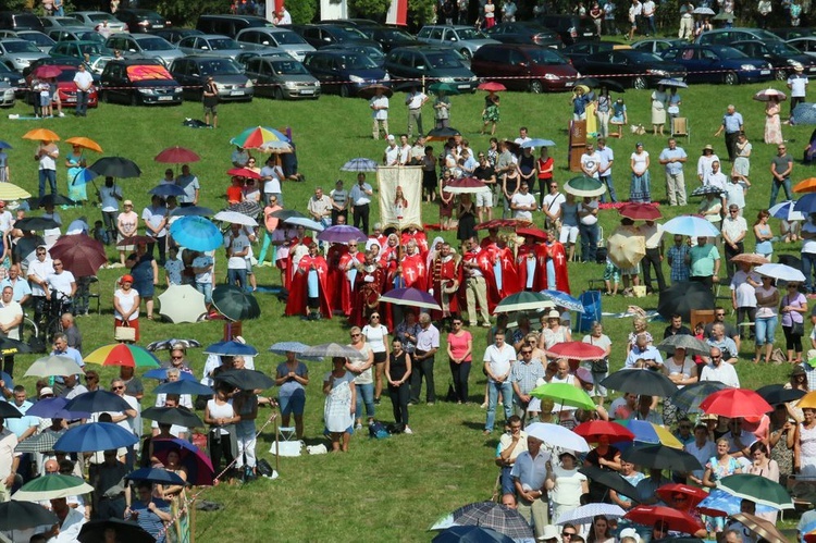 Uroczystości odpustowe w Wąwolnicy