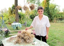 Iwona Olszewska do pracy użyła zbóż z ełganowskich pól.