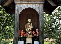 Obiekt ufundowali w 2014 roku muzycy i śpiewacy ziemi janowskiej.