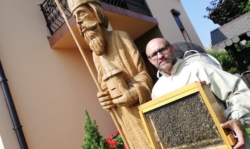 Śląskie. Strażacy usuwają gniazda os i szerszeni. "Pszczół nie trzeba się bać"