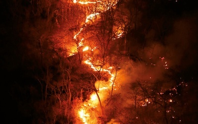 Płonące lasy Amazonii wywołują alarmujące komentarze na całym świecie.