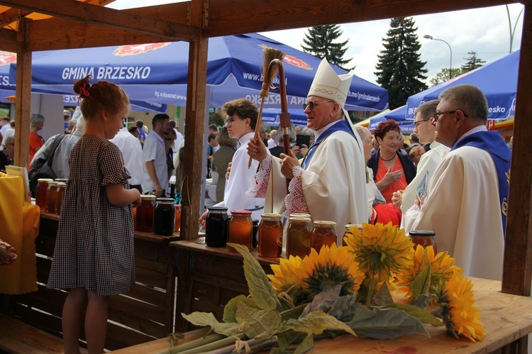 Brzesko. Diecezjalne Święto Chleba 2019