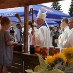 Brzesko. Diecezjalne Święto Chleba 2019