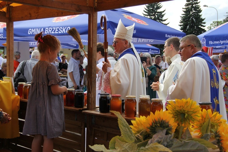 Brzesko. Diecezjalne Święto Chleba 2019