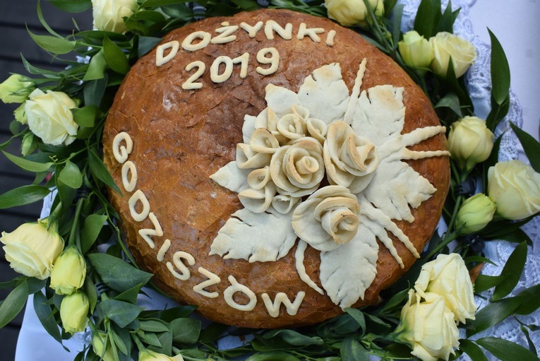 Odpust z dożynkami w Janowie Lubelskim