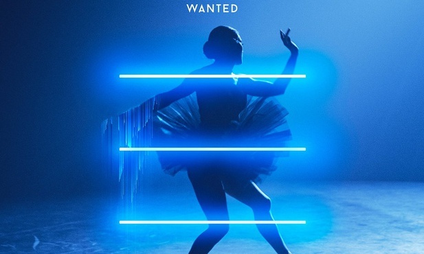 OneRepublic - Wanted
