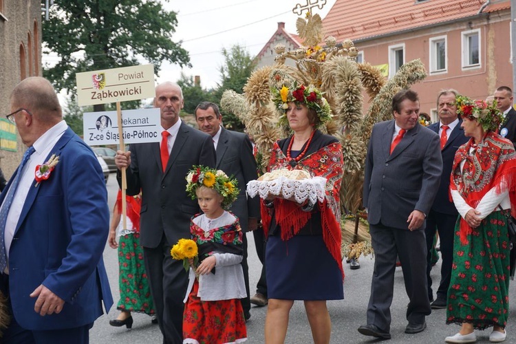 Dożynki wojewódzko-diecezjalne w Niemczy