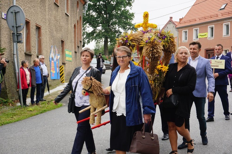 Dożynki wojewódzko-diecezjalne w Niemczy