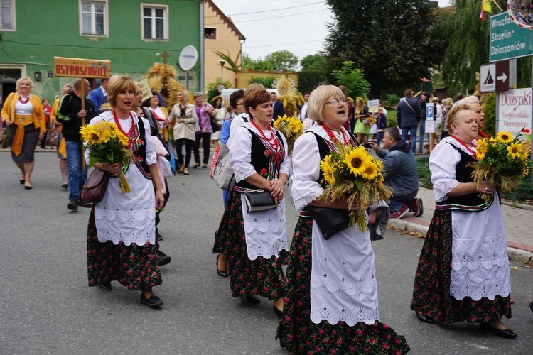 Dożynki wojewódzko-diecezjalne w Niemczy