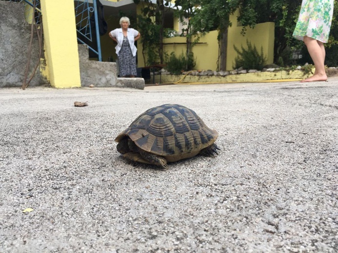 Autostopem z Bielska-Białej do Medjugorje - 2019