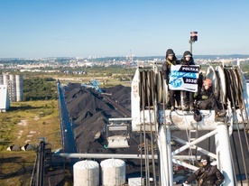 Greenpeace w Gdańsku - weszli na portowe dźwigi