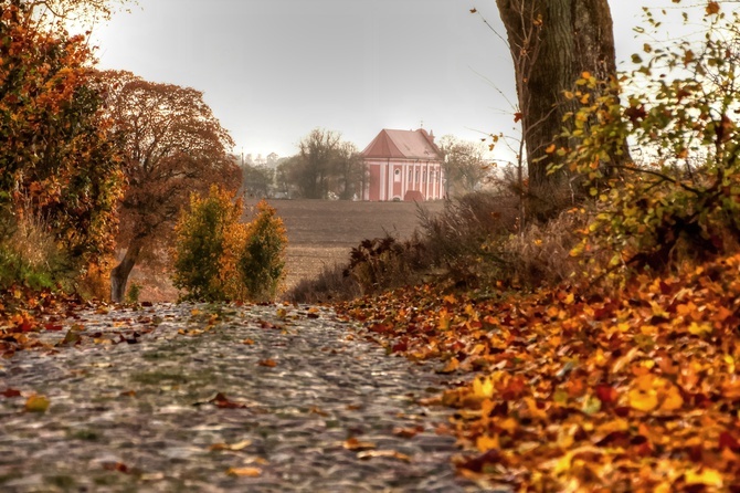 Skrzatusz w fotografii Roberta Nowickiego