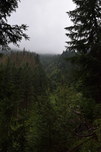 Biały Dunajec 2019 - na szlaku