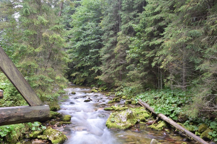 Biały Dunajec 2019 - na szlaku