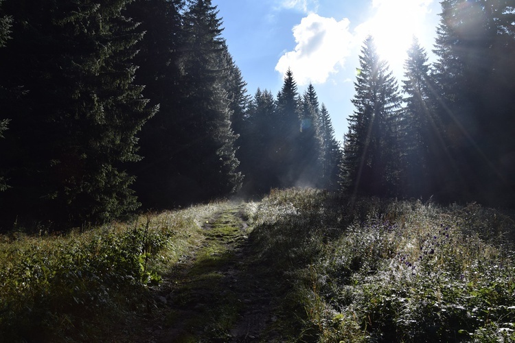 Biały Dunajec 2019 - na szlaku