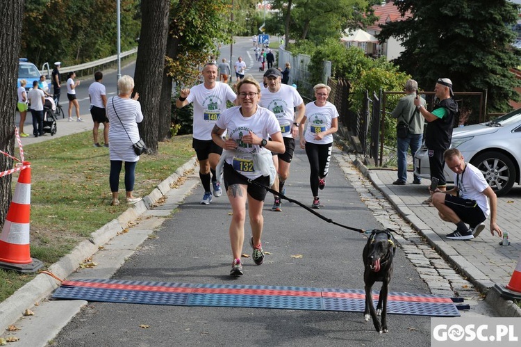 II Bieg do Bożego Grobu