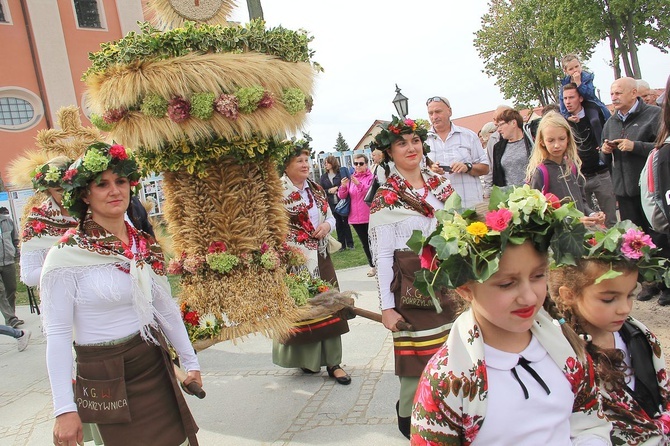 Diecezjalna Pielgrzymka do Skrzatusza - Msza św.