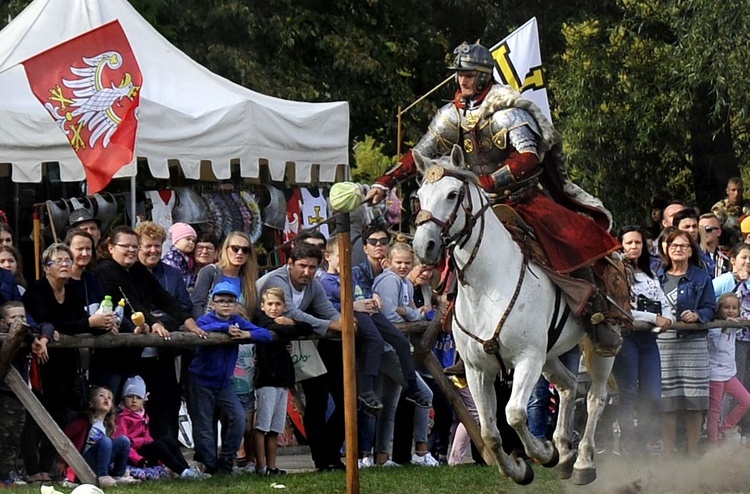 Pułtusk. VI Piknik z husarią (część I)