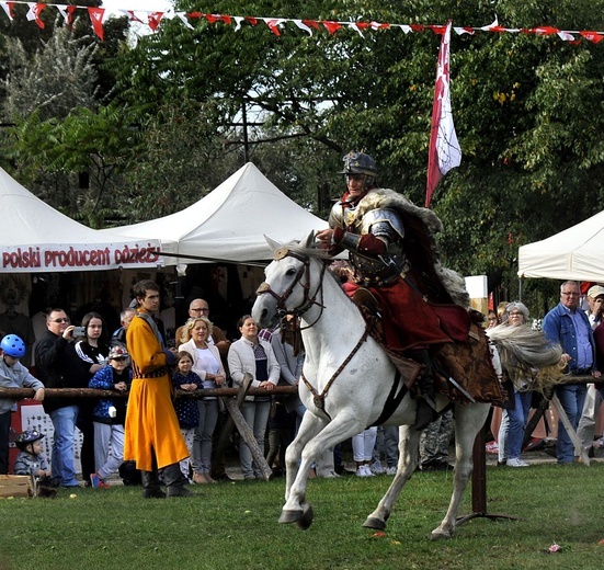 Pułtusk. VI Piknik z husarią (część I)