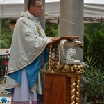 Limanowa. Wielki Odpust Maryjny - dzień 2.