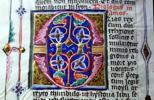 Biblia Nyska czeskich bożogrobców