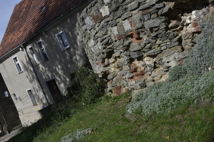 Główne uroczystości upamiętniające więźniów obozu pracy