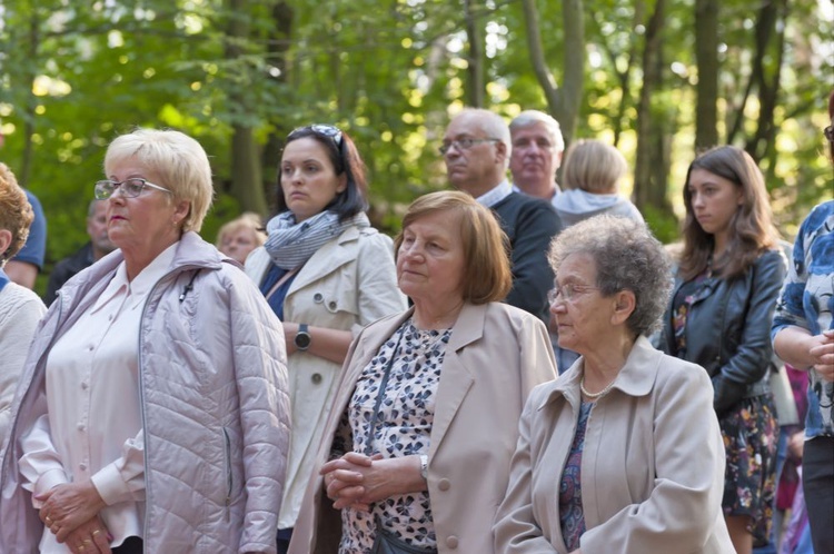 Z wizytą u Matki Bożej w Zielonej Dolinie